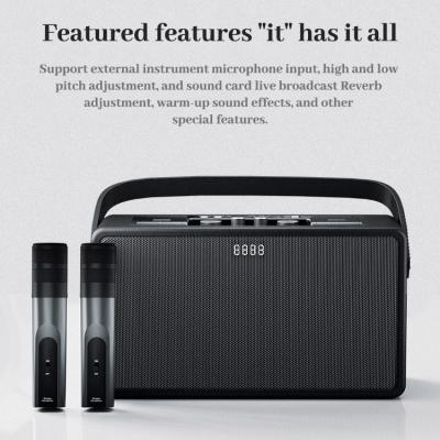 W450 Portable Karaoke Speaker With Display